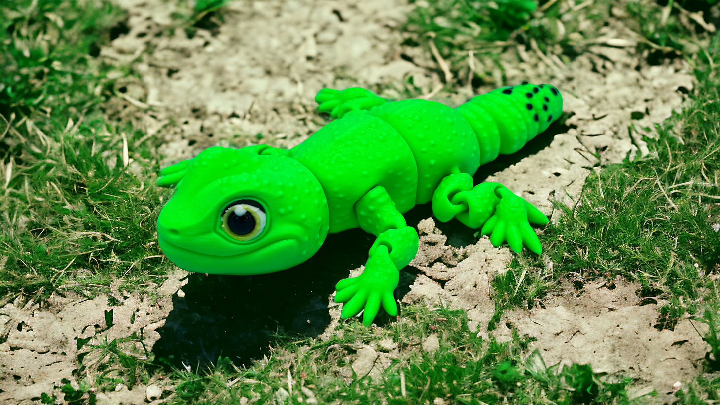 Leopard Gecko