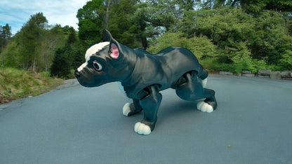 Pitbull