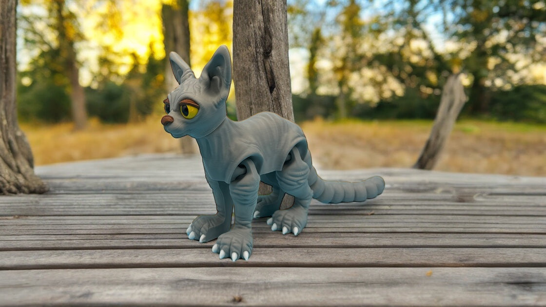 Sphinx Cat