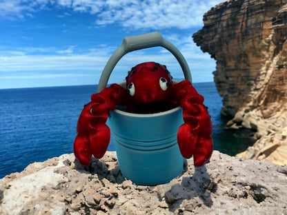 Lobster in Pail