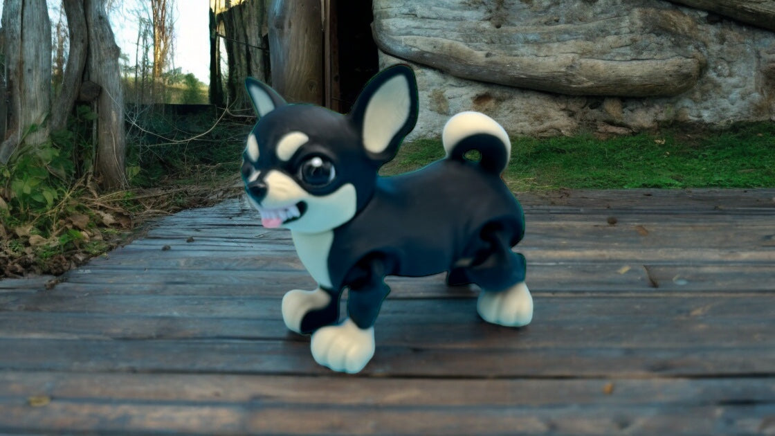 Chihuahua