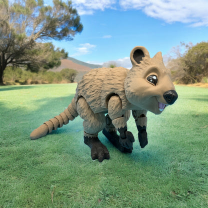 Quokka