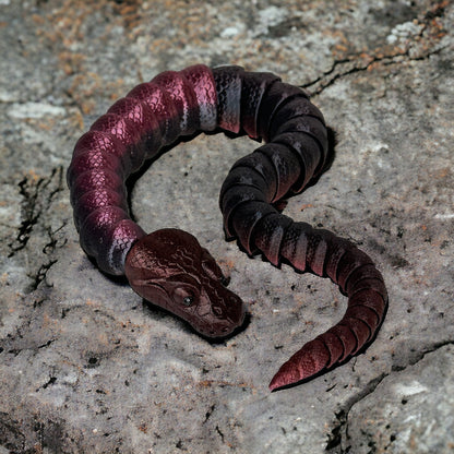 Ball Pythons