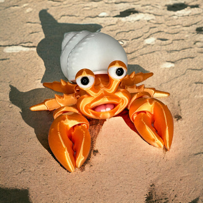 Hermit Crabs