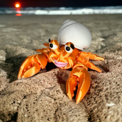 Hermit Crabs