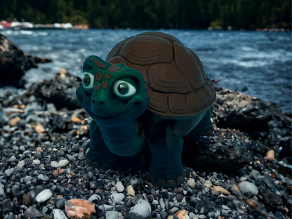 Tortoise