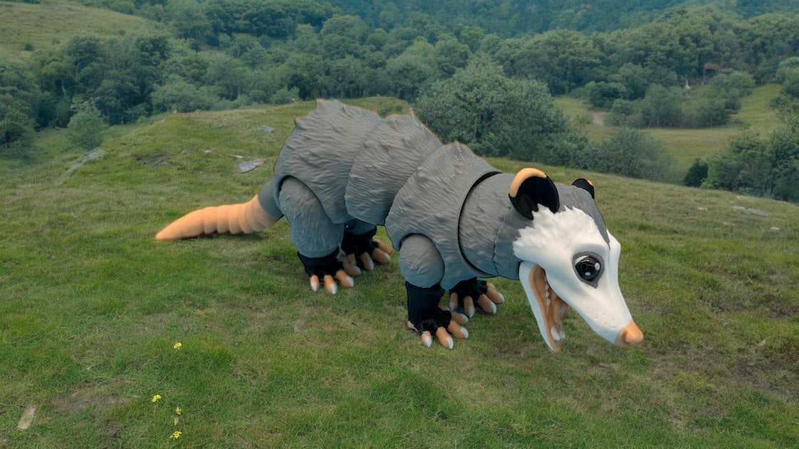 Opossum