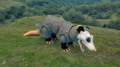 Opossum