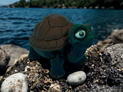 Tortoise