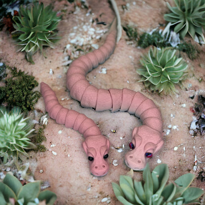 Ball Pythons