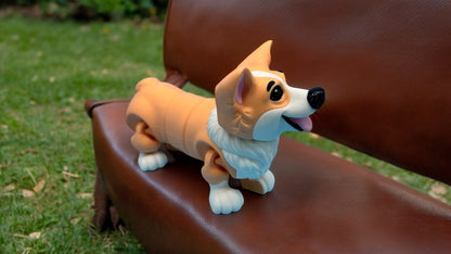Corgi