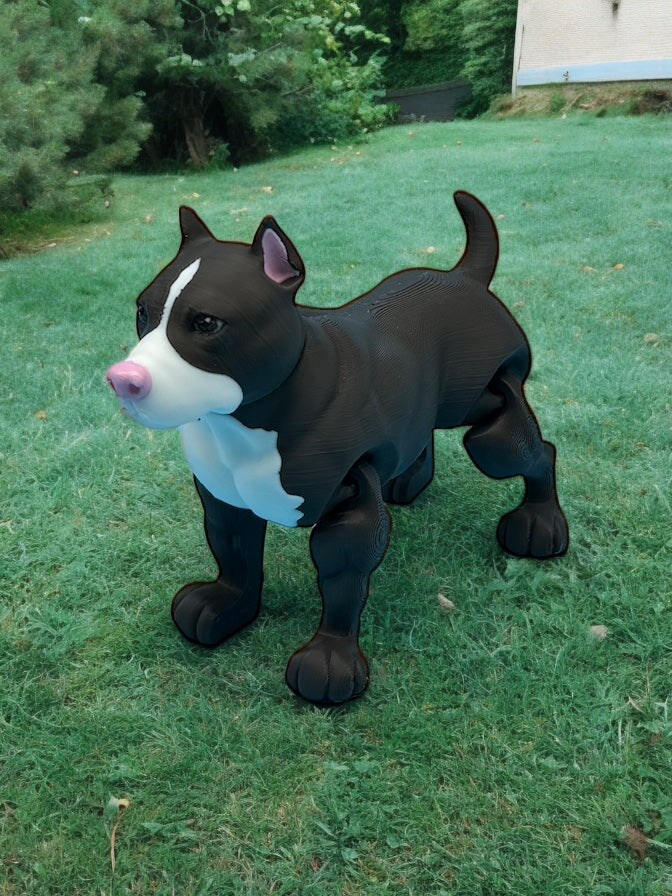 Pitbull