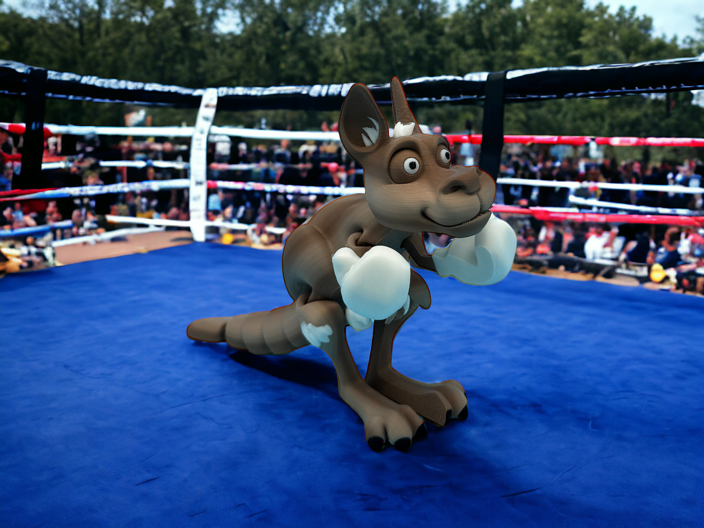 Kangaroo