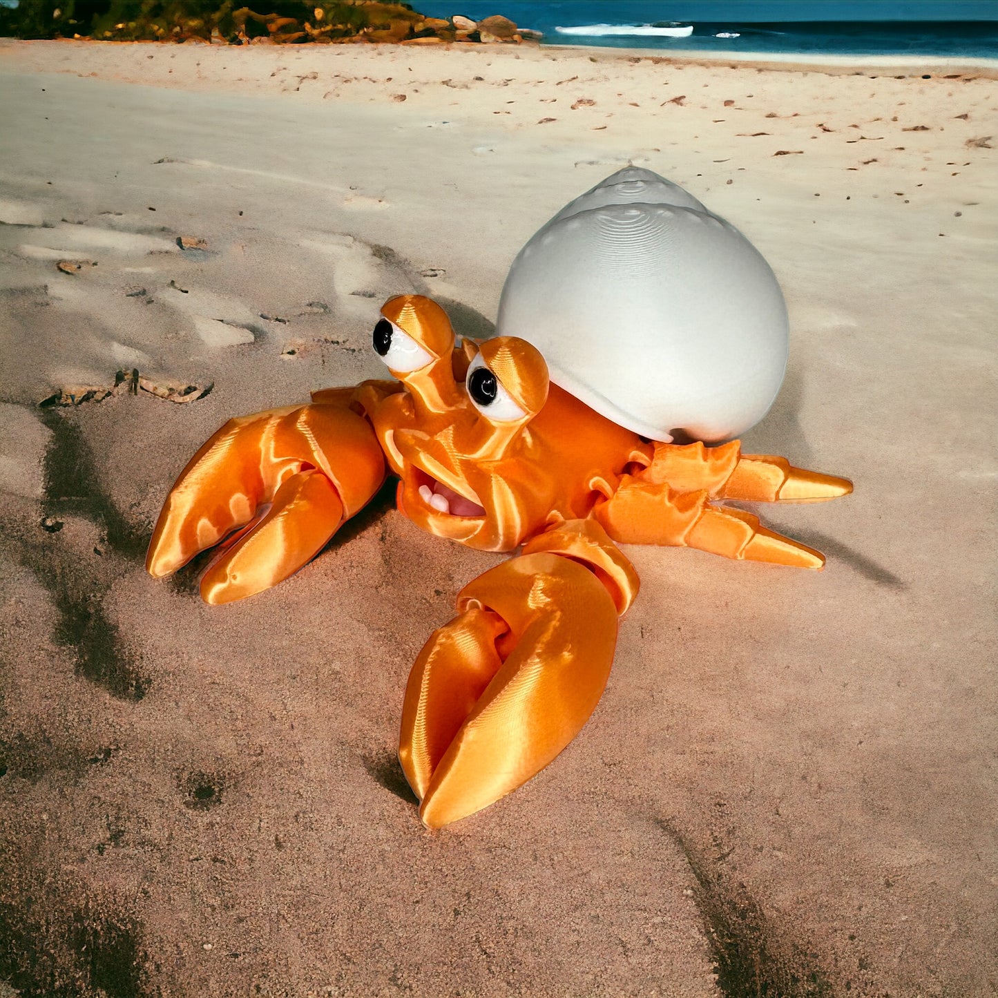 Hermit Crabs