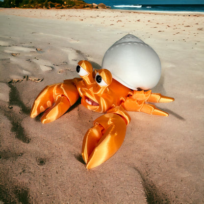 Hermit Crabs