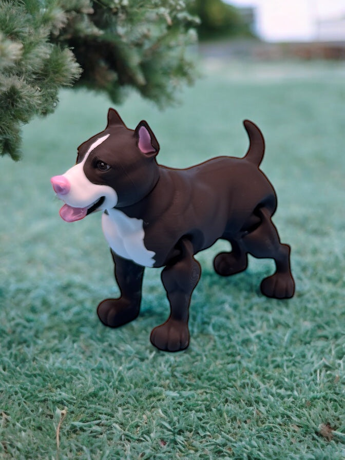 Pitbull
