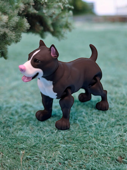 Pitbull