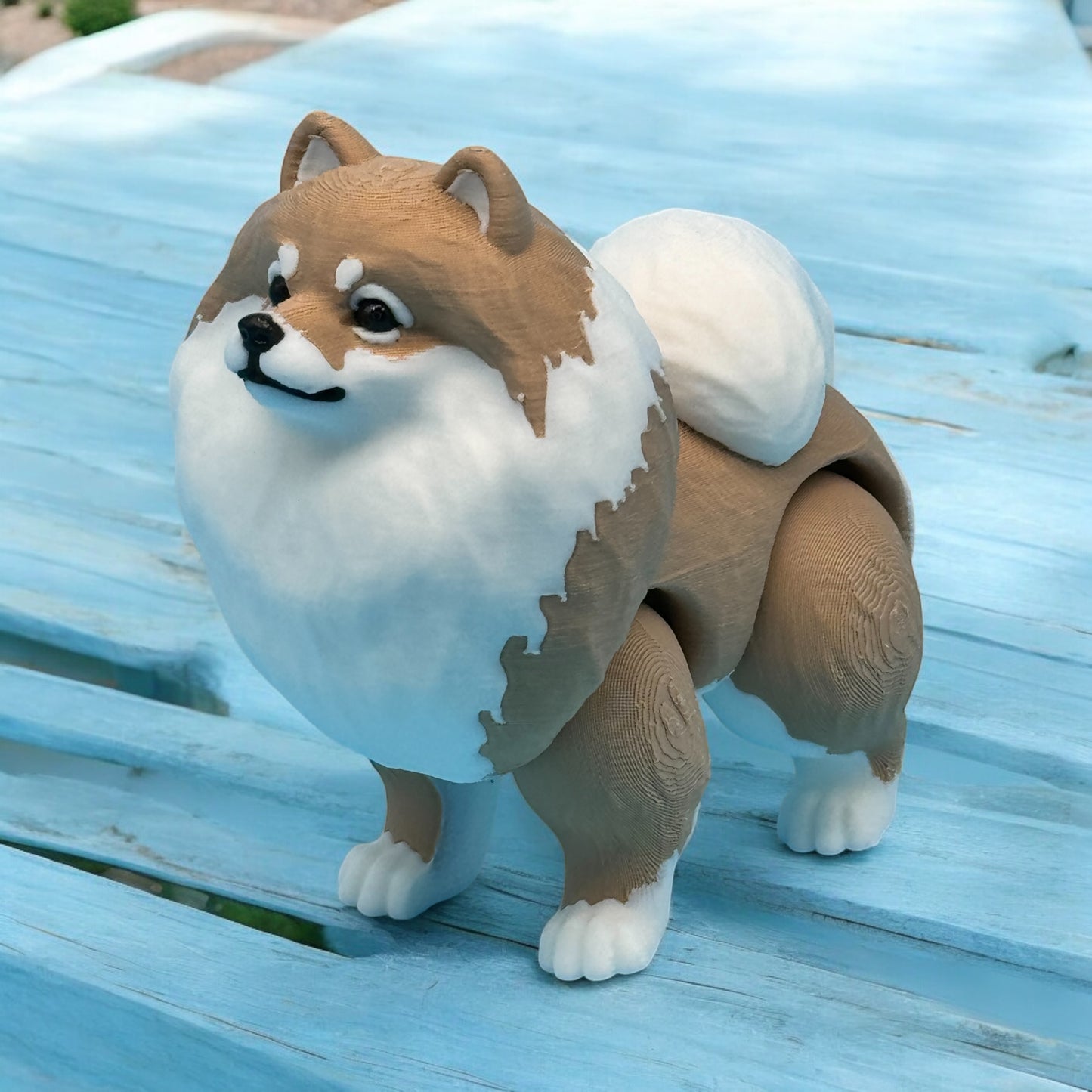 Pomeranian