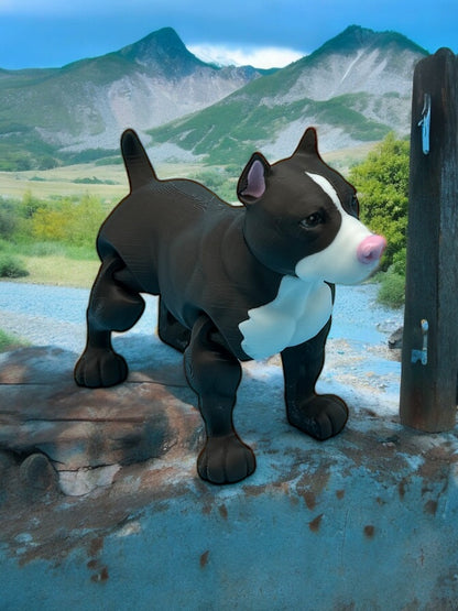 Pitbull