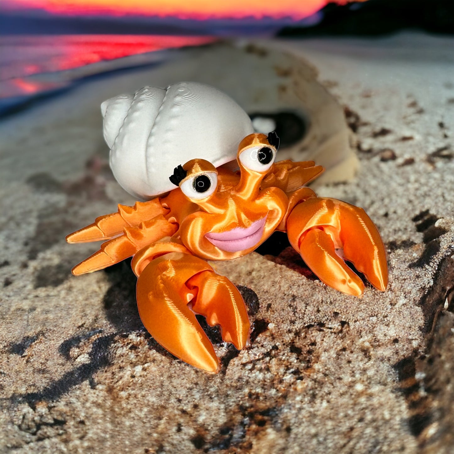 Hermit Crabs