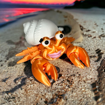 Hermit Crabs