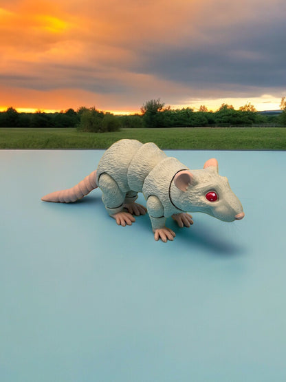 Rat