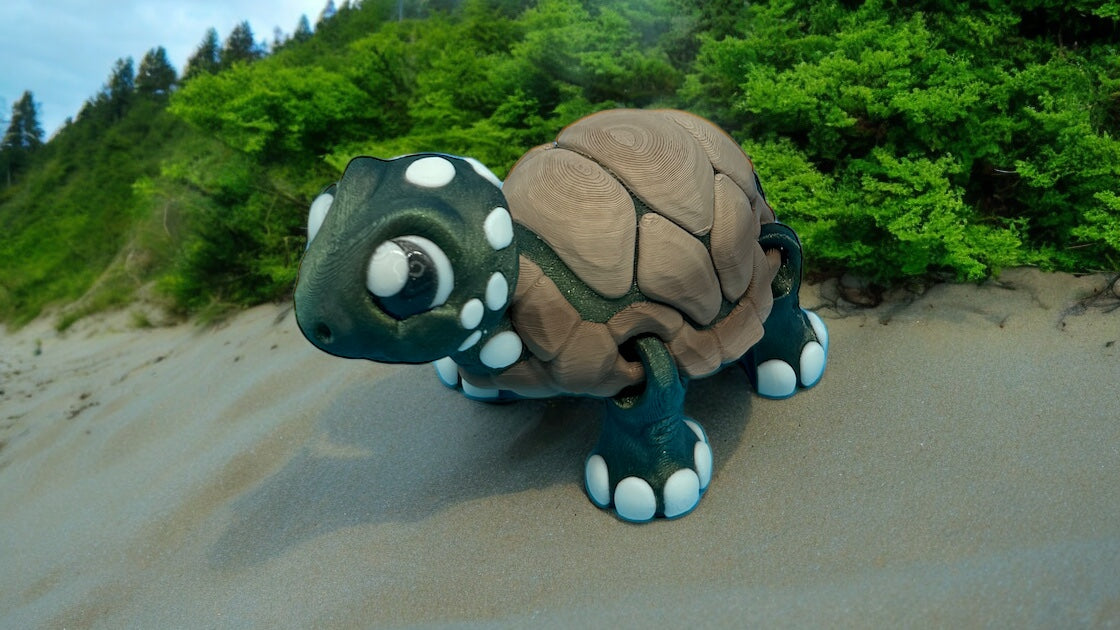 Tortoise