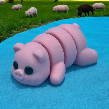 Mini Pig