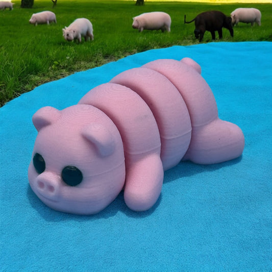 Mini Pig