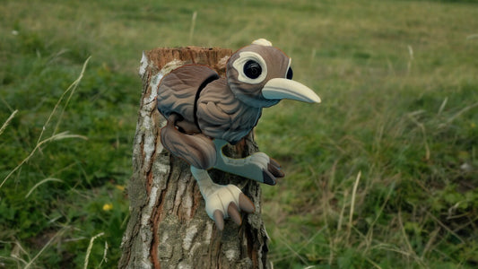 Kiwi Bird