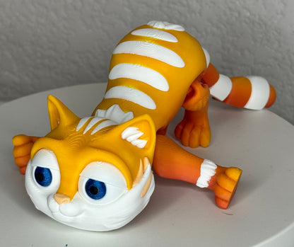 Kitten