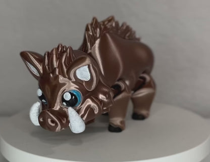 Boar