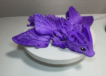 Baby Butterfly Dragon