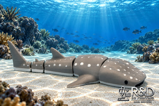 Whale Shark