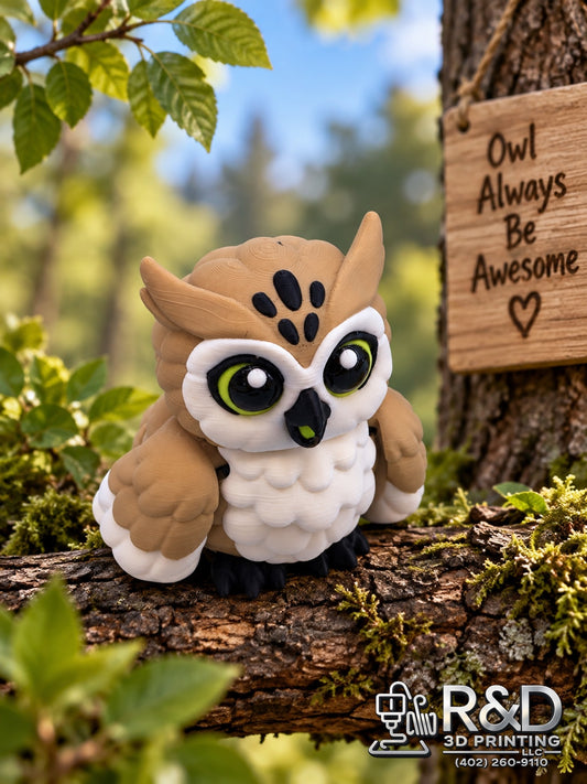 Little Owl
