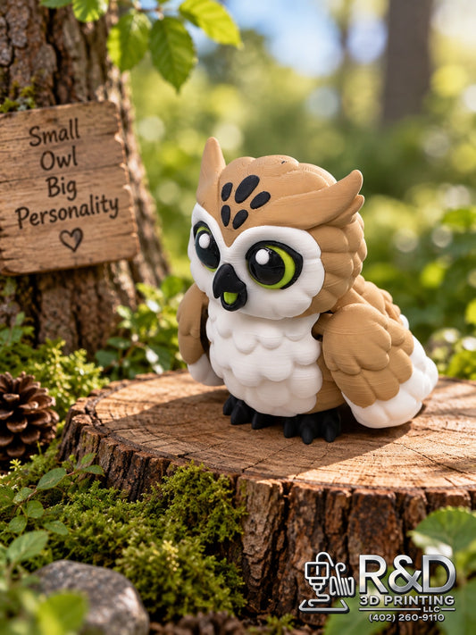Little Owl