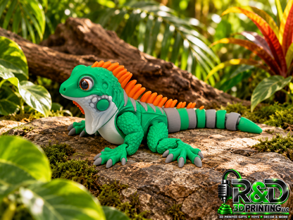 Iguana