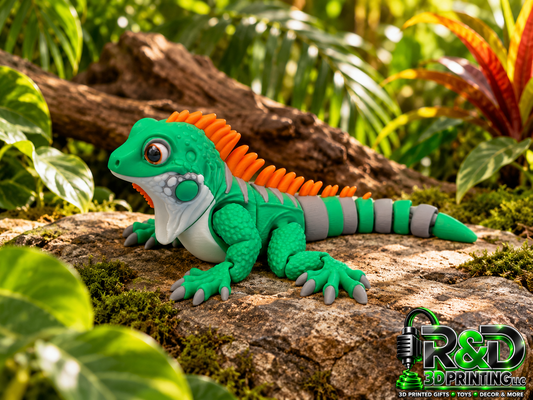Iguana