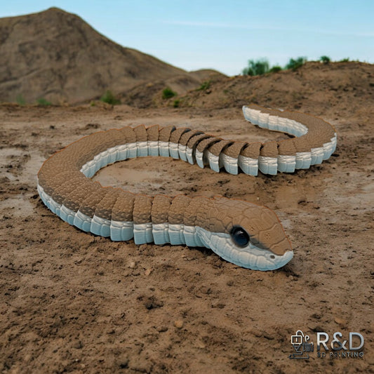 Boomslang Snake