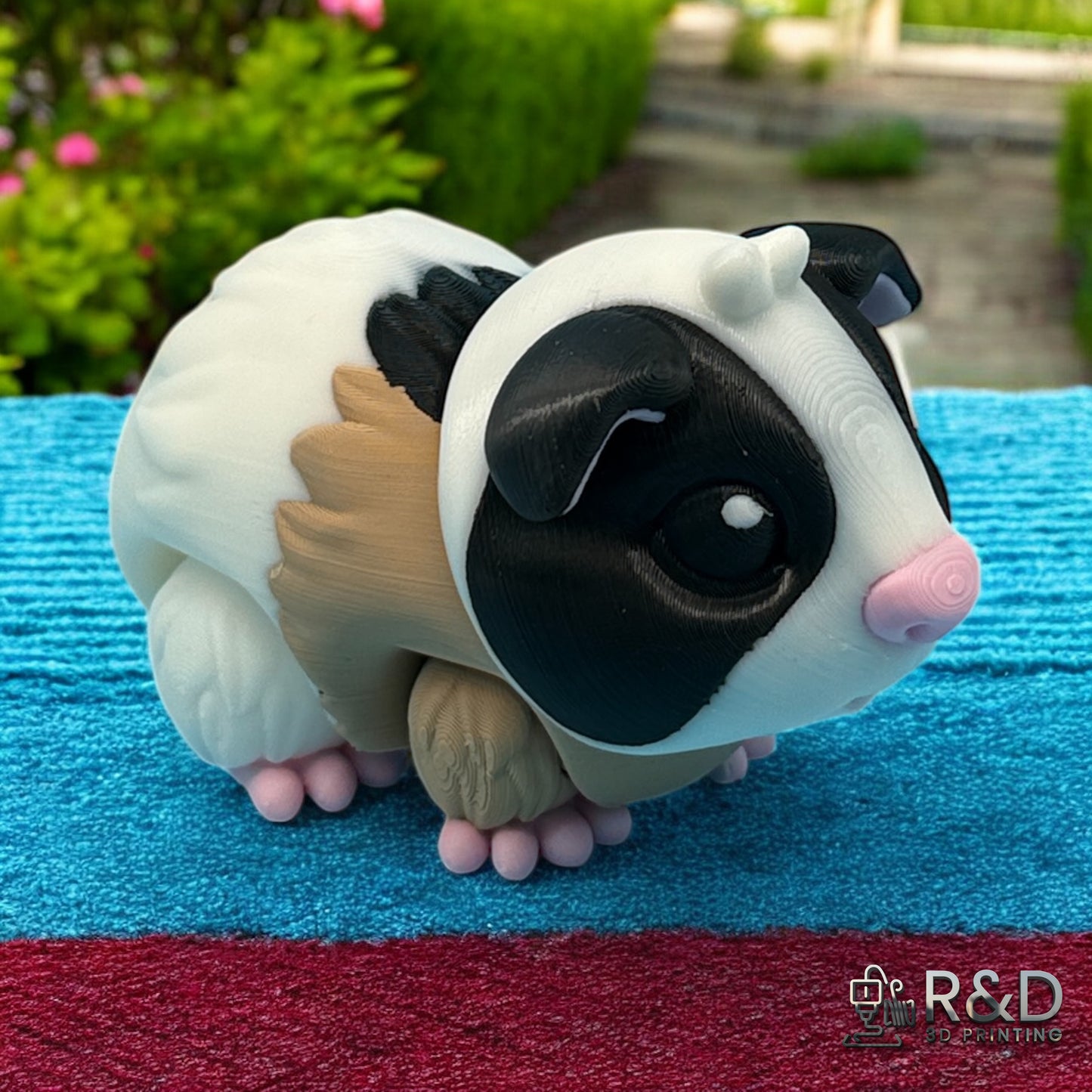 Guinea Pig
