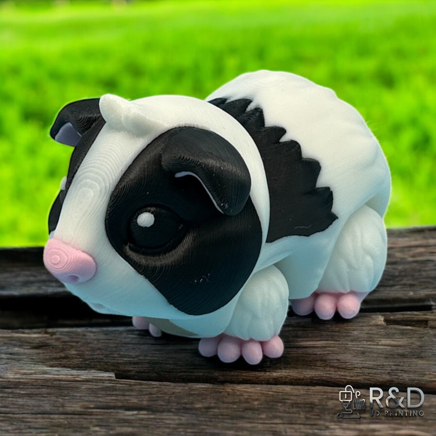 Guinea Pig