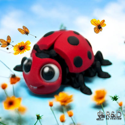 Lady Bug