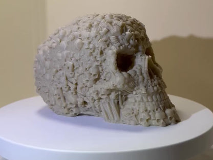 Catacombs Skull