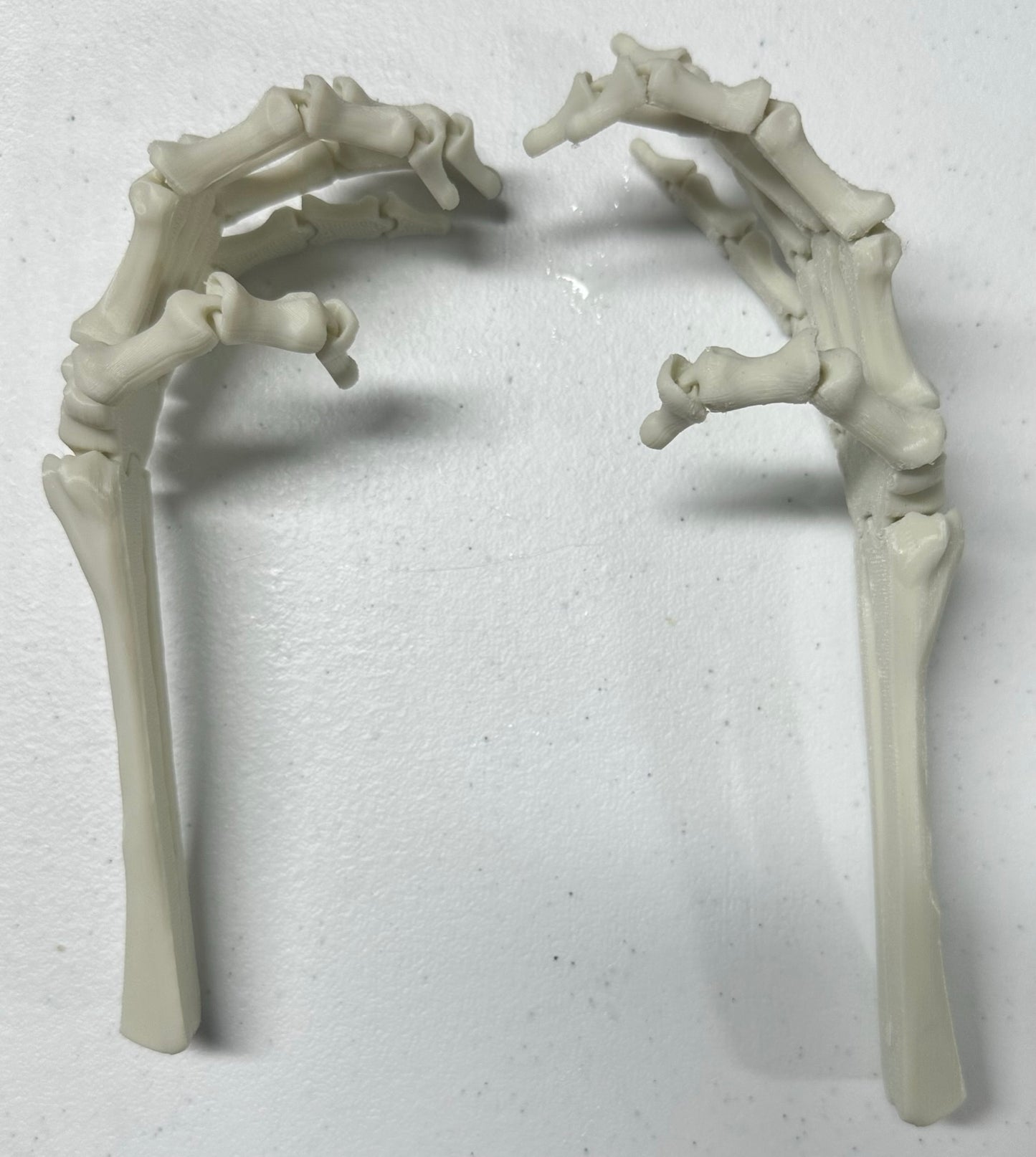 Skeleton Hands