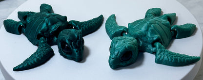 Hatchling Turtle