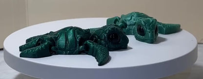 Hatchling Turtle