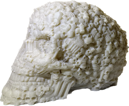 Catacombs Skull
