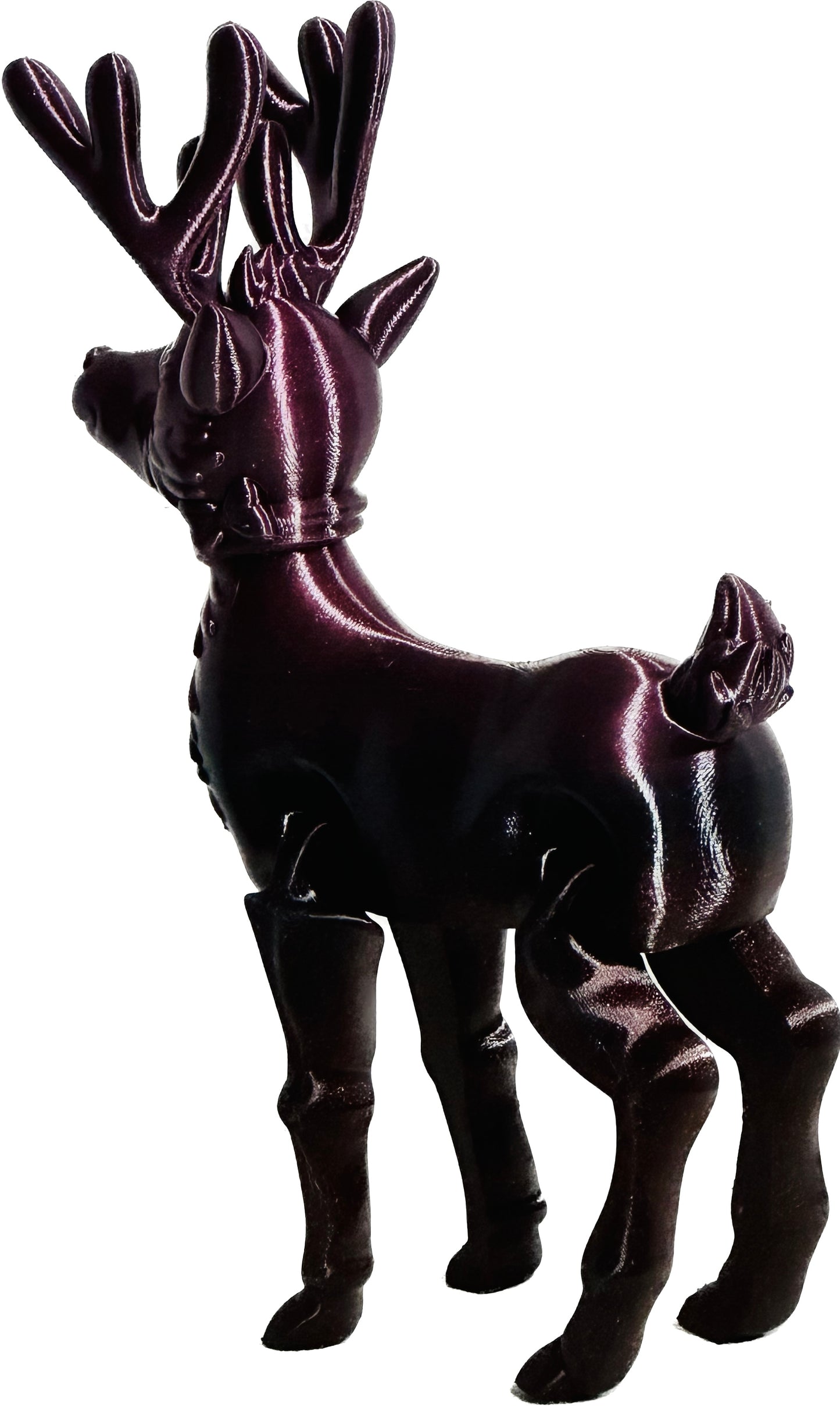 Reindeer