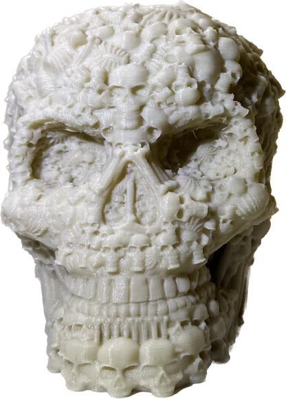 Catacombs Skull