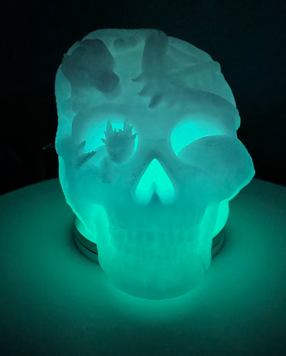Lighted Dragon Skull